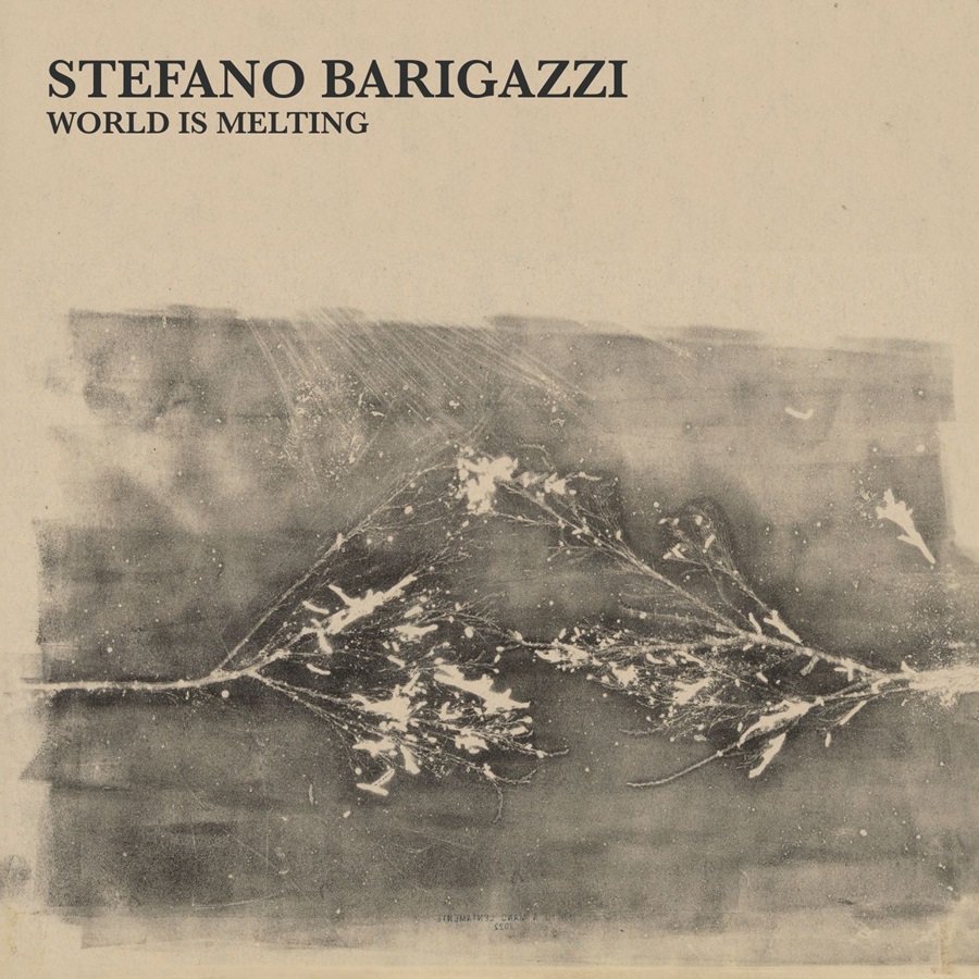 stefano barigazzi