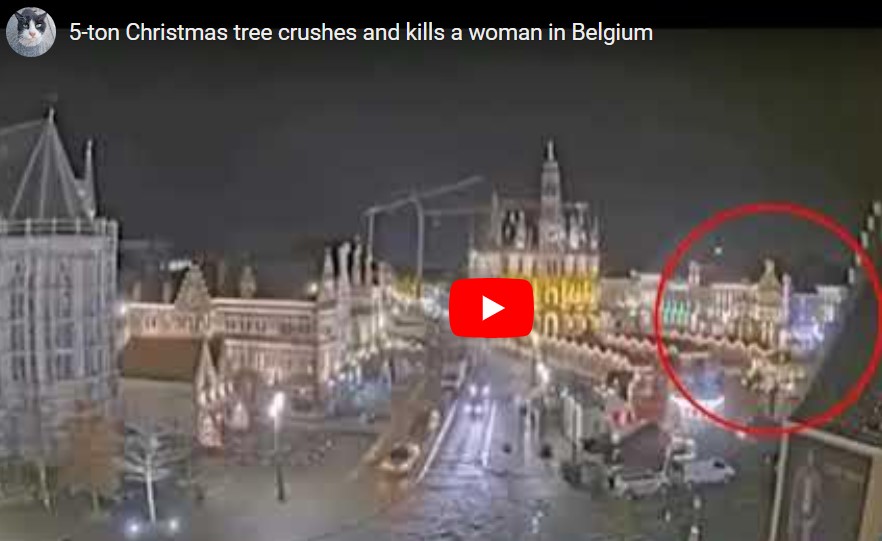 albero di natale belgio