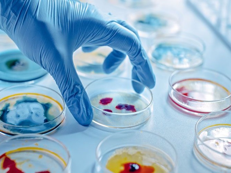 cefiderocol rezafungin infezioni