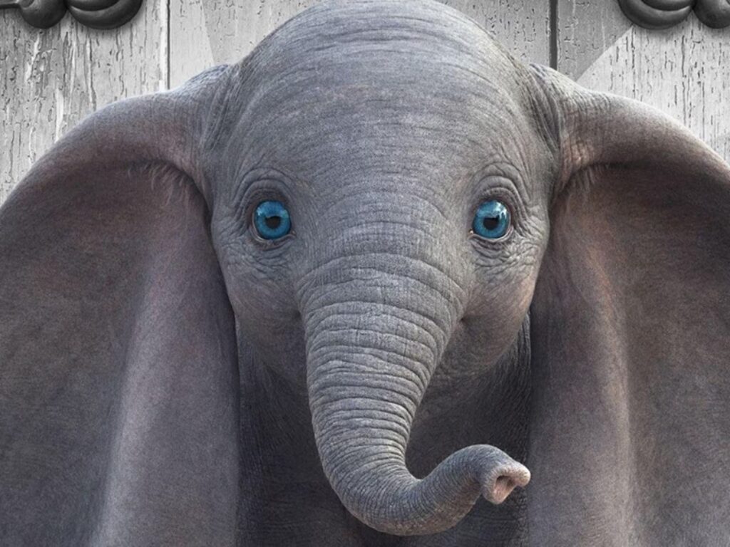 dumbo