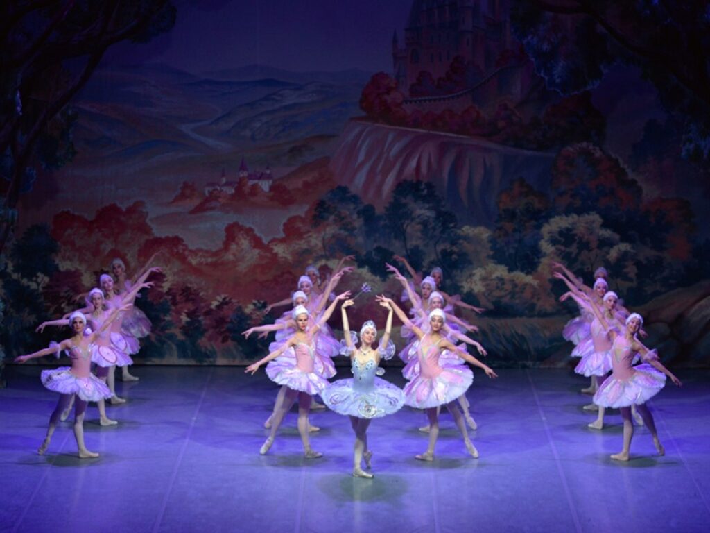 la bella addormentata