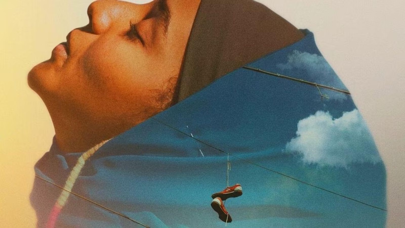 l'afide e la formica