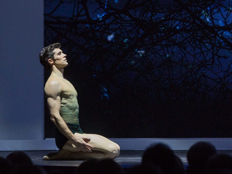 roberto bolle