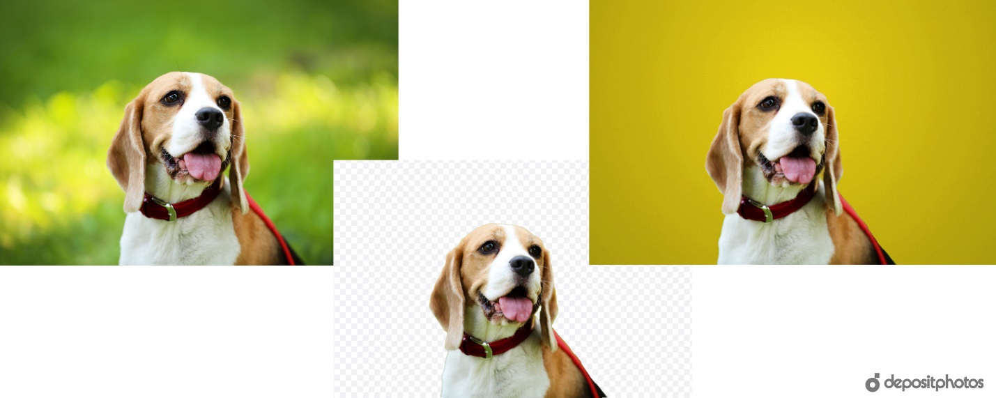 Elimina lo sfondo dalle foto