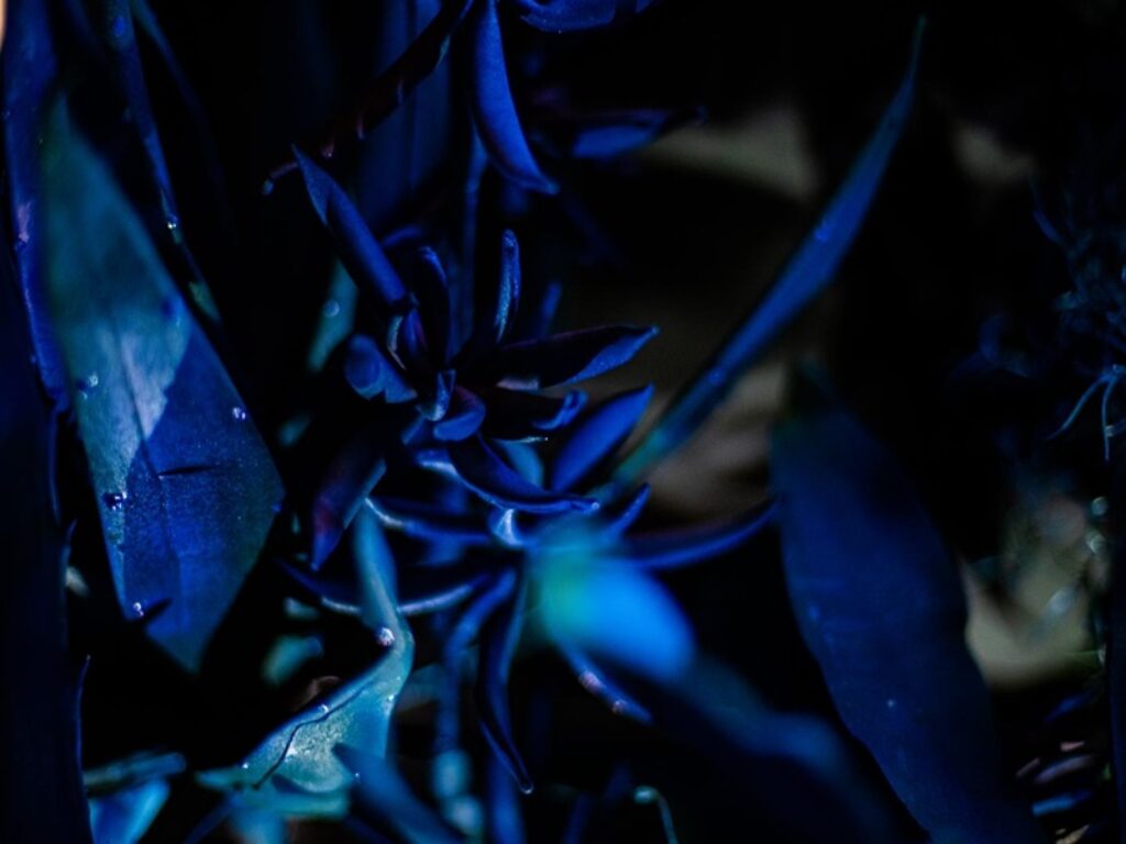quanto resta della notte