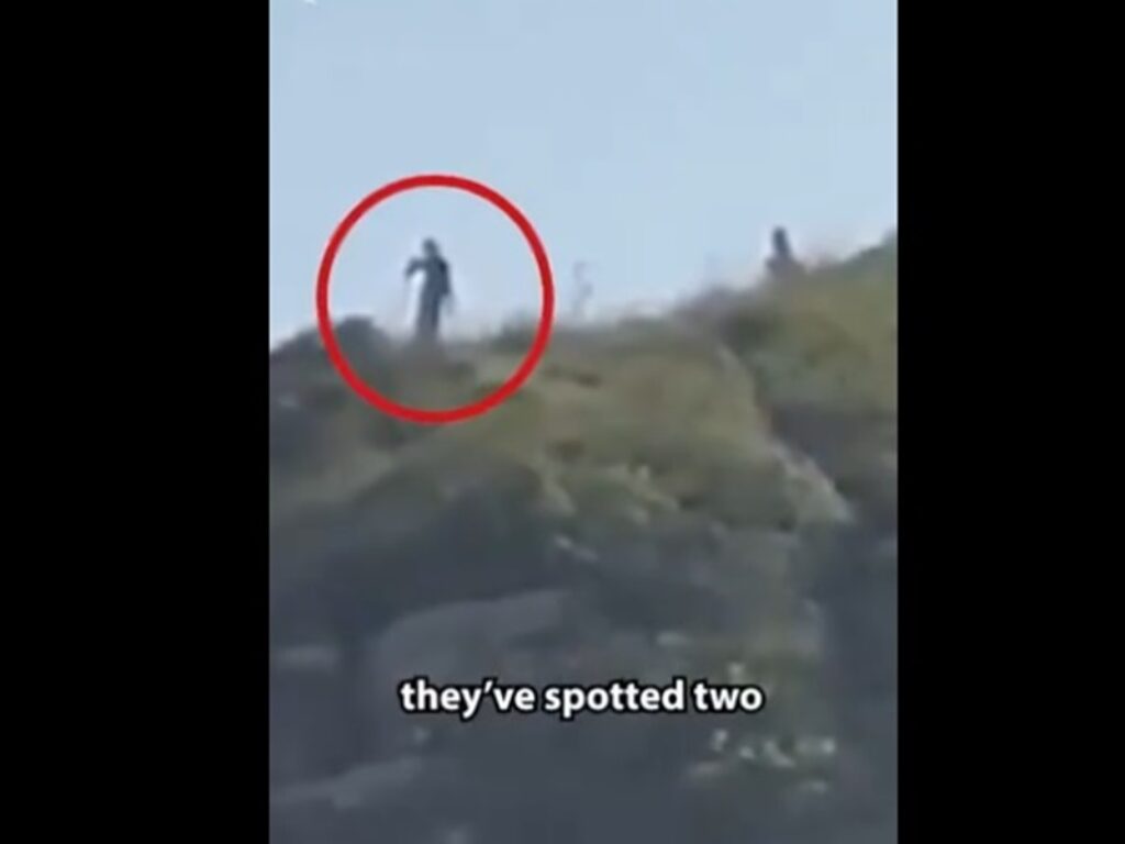 video alieni brasile