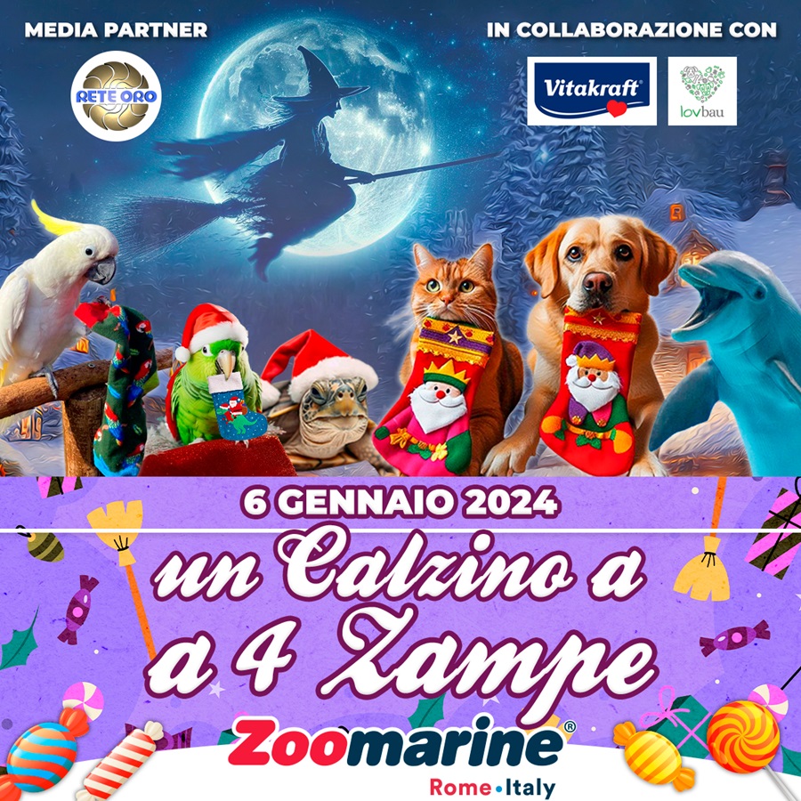 zoomarine