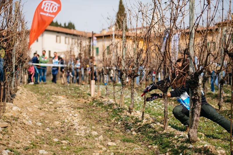 festival del potatore 2024