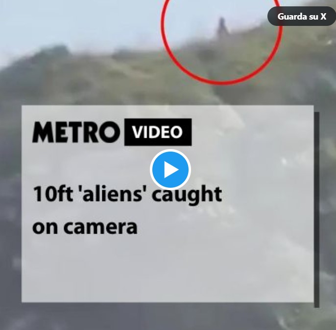 video alieni brasile