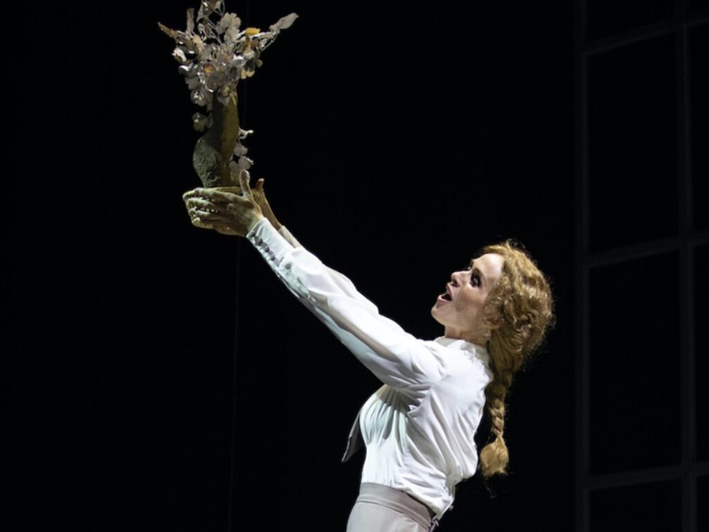 My fair lady