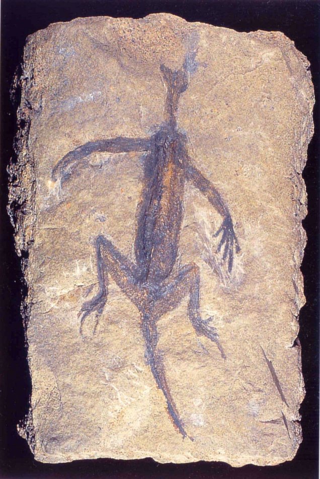 Tridentinosaurus