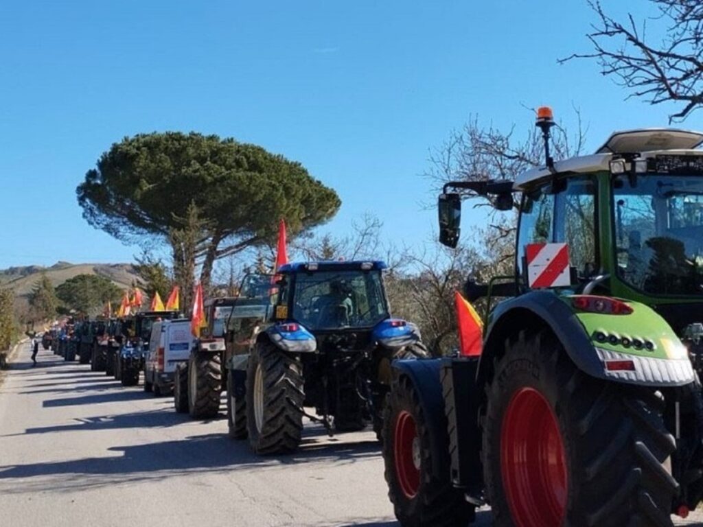 trattori riscatto agricolo