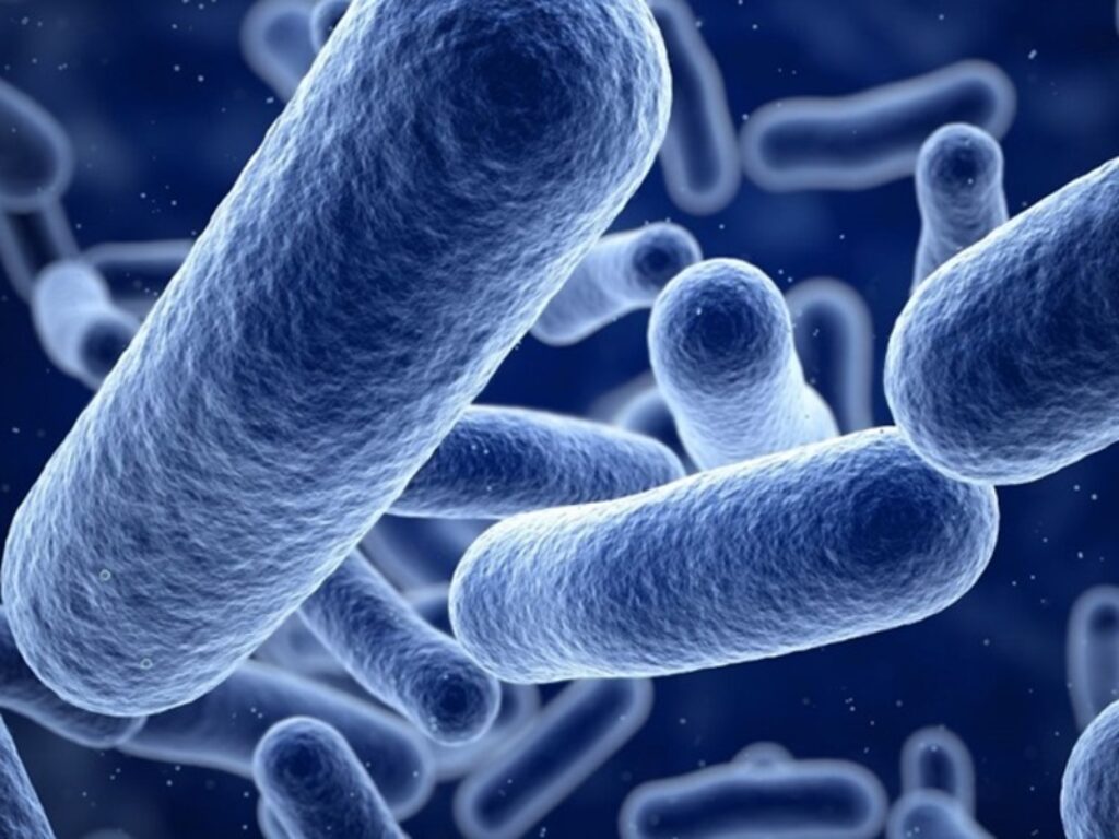 malattia carnivora da streptococco