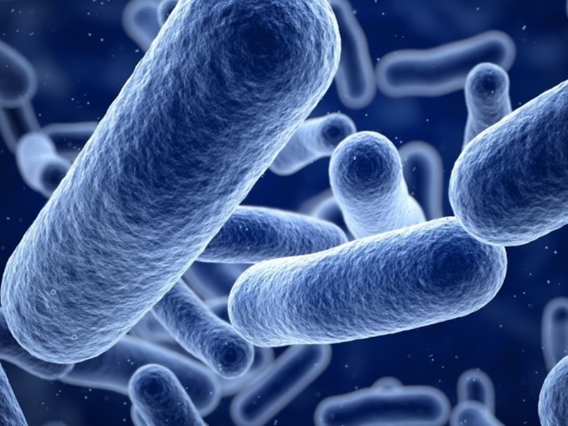 malattia carnivora da streptococco