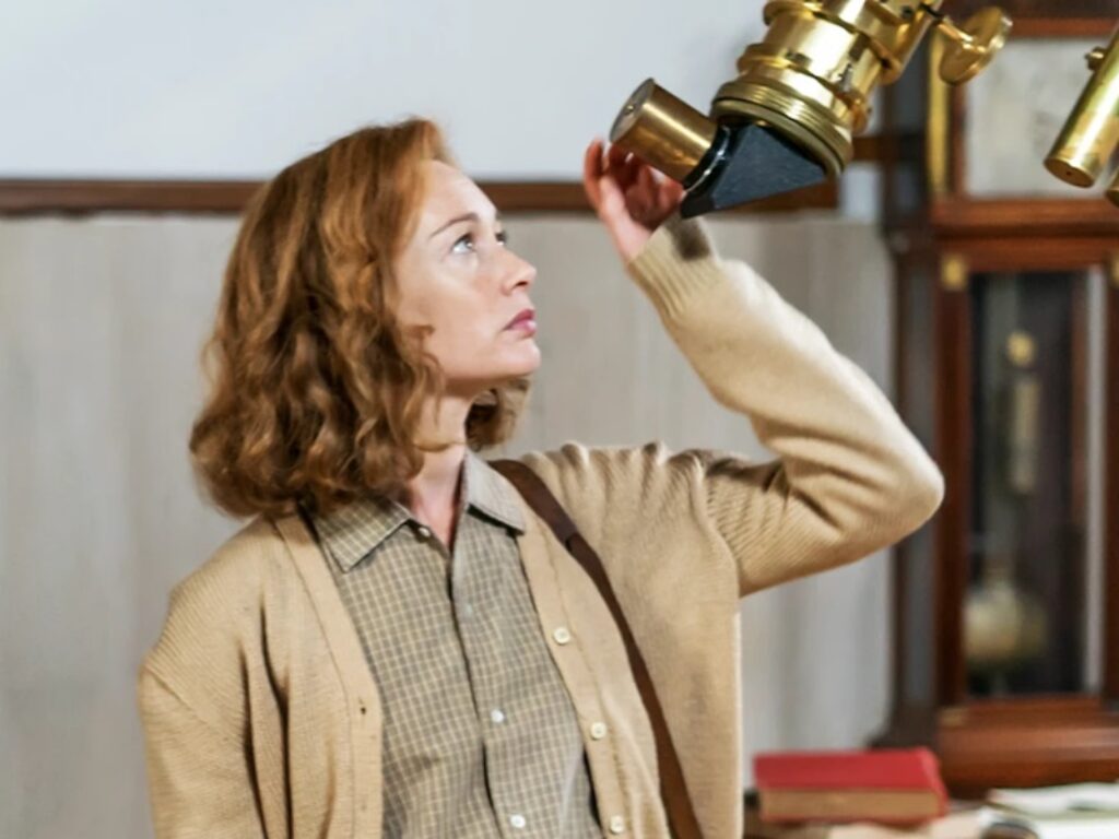 margherita delle stelle