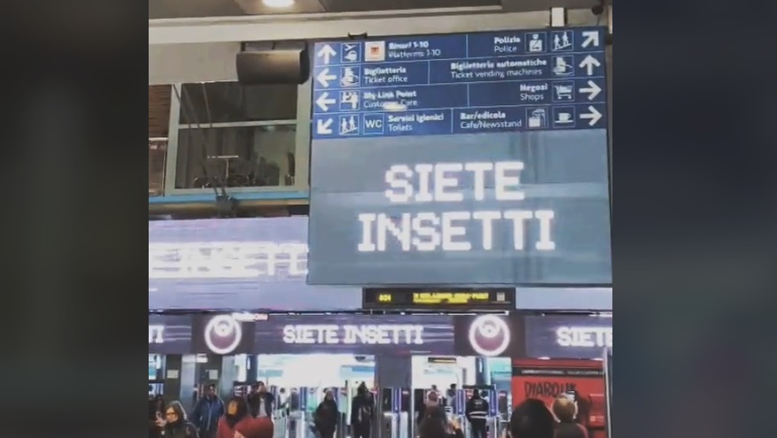 siete insetti