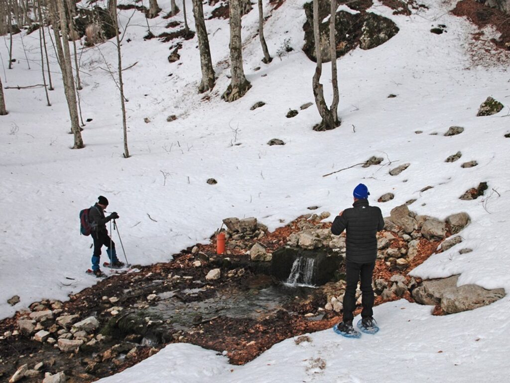Acqua Sorgente Acqua della Pietra