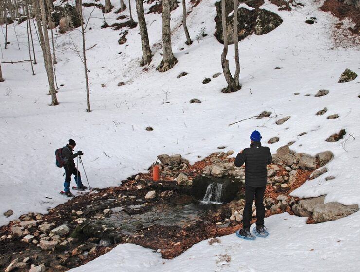 Acqua Sorgente Acqua della Pietra