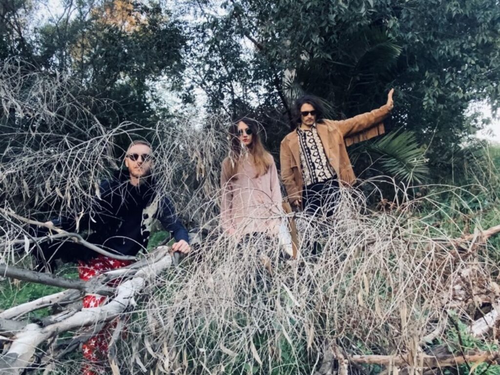 COOPER AND THE NIGHT OWLS