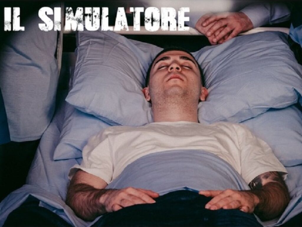 il simulatore