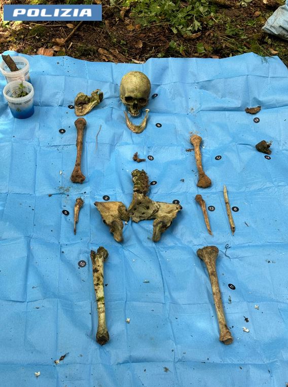 ossa umane bologna