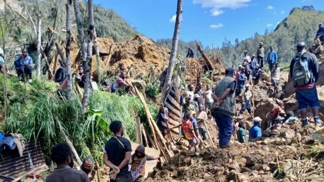 frana papua nuova guinea foto