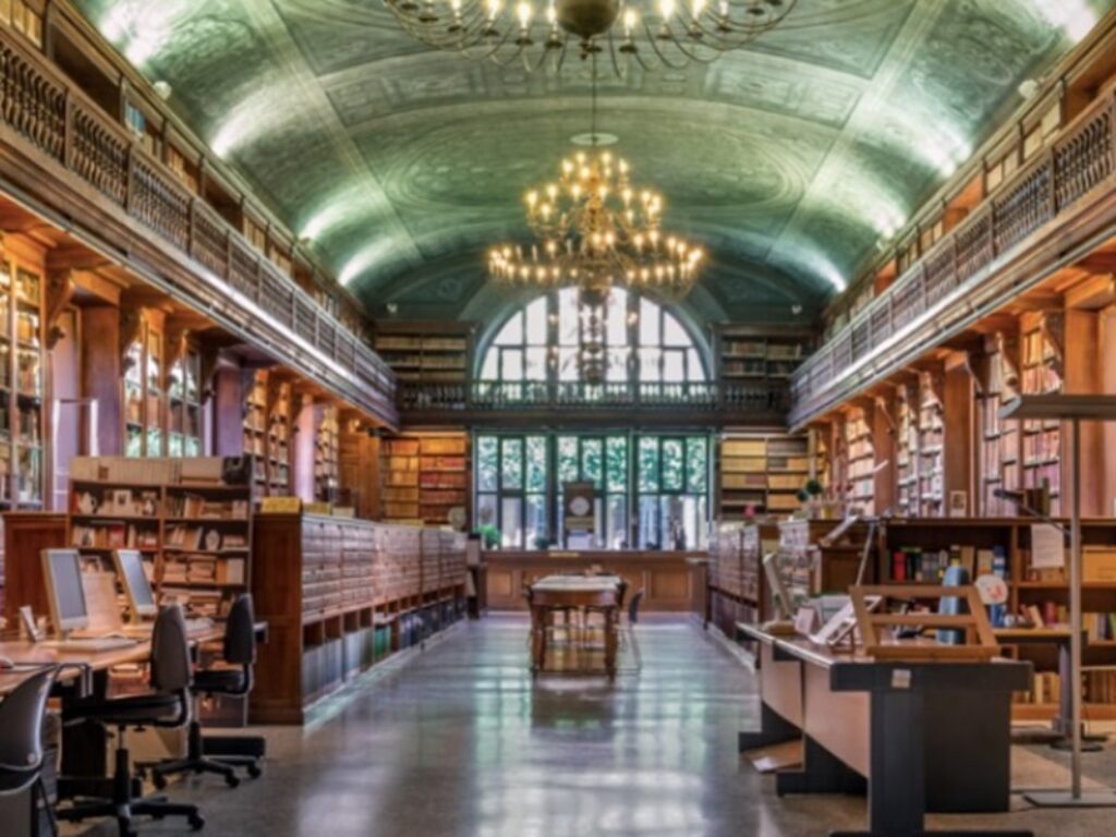 party estetista cinica