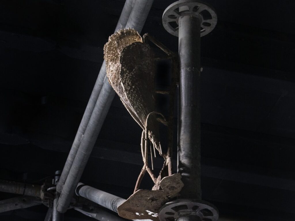 Giorgio Andreotta Calò