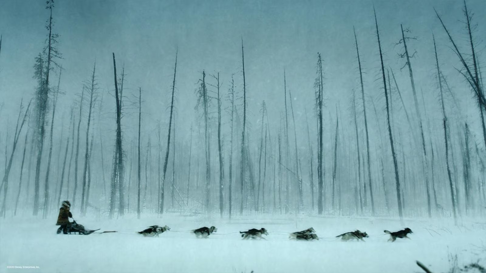 togo una grande amicizia film