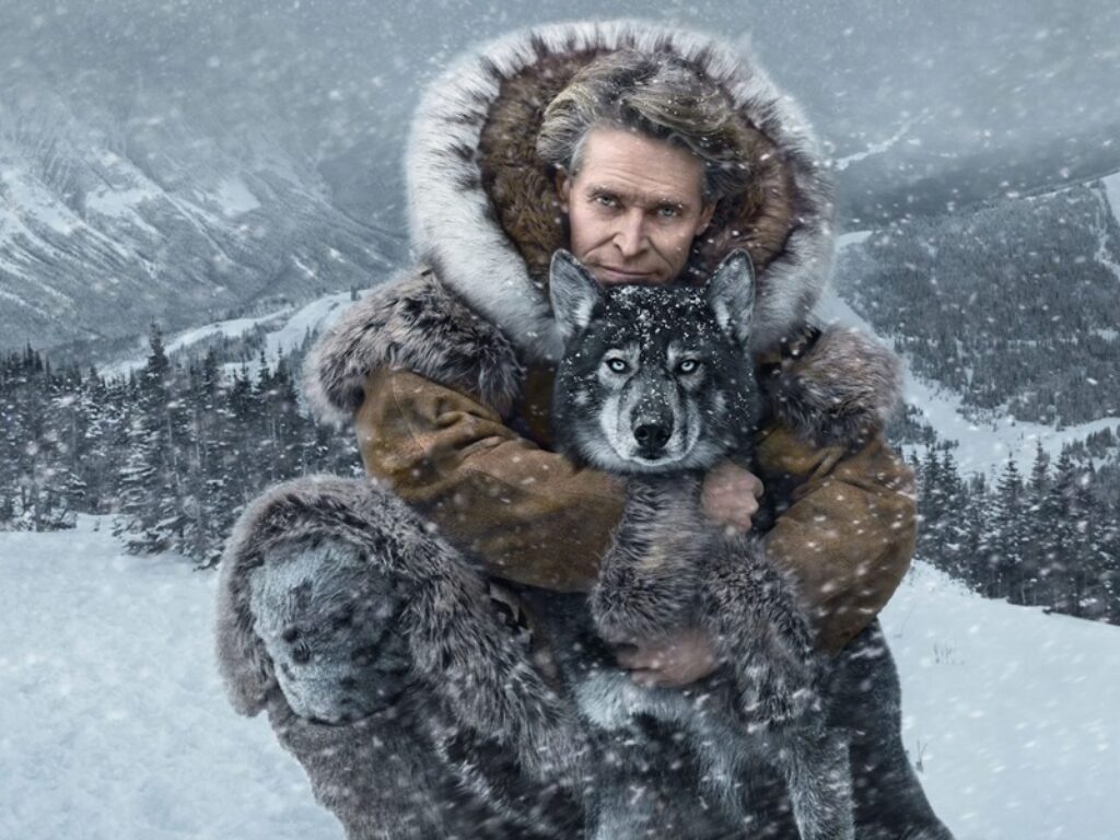 togo una grande amicizia film