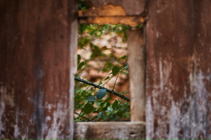 Sentimento Anti-Giapponese in Corea del Sud: Dalle Donne di Conforto al Boicottaggio dei Prodotti Giapponesi