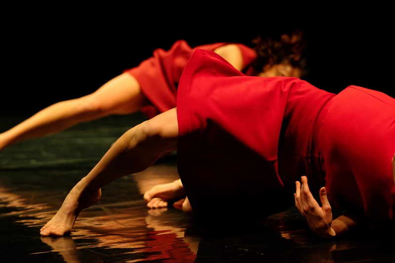 MM Contemporary Dance Company