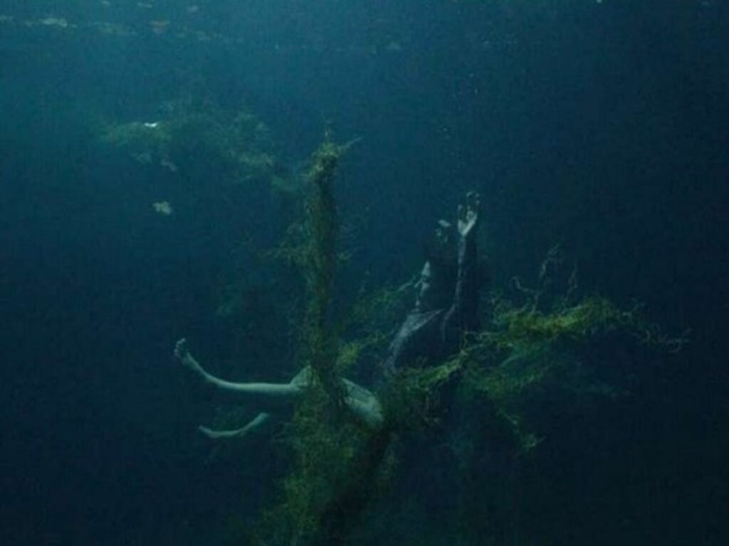 charlotte una di noi film