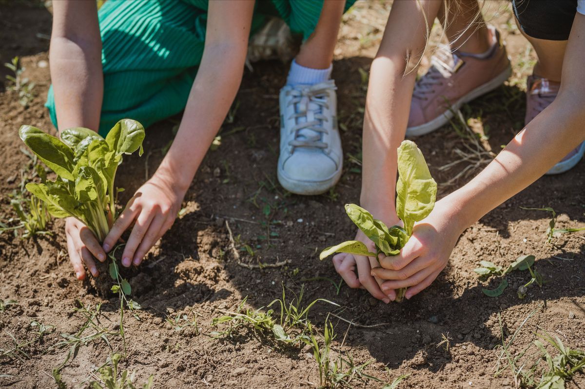 orto sociale slow food