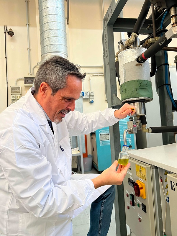 pesce azzurro omega 3 vitamina d