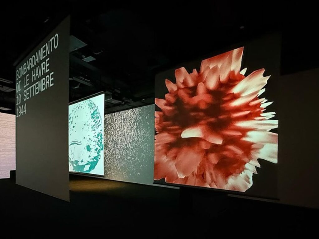 zannier escalation involution