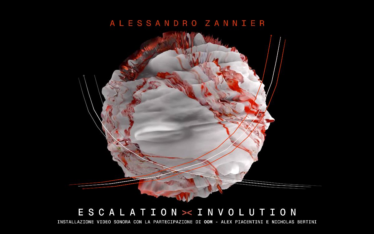 zannier escalation involution