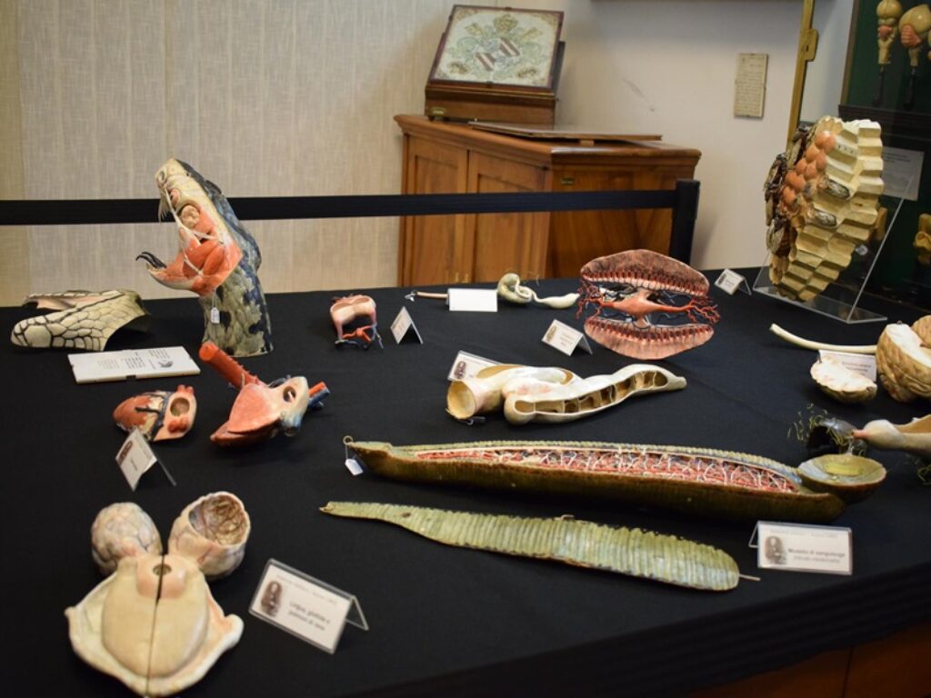 polo museale sapienza