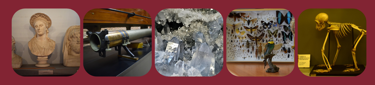 polo museale sapienza