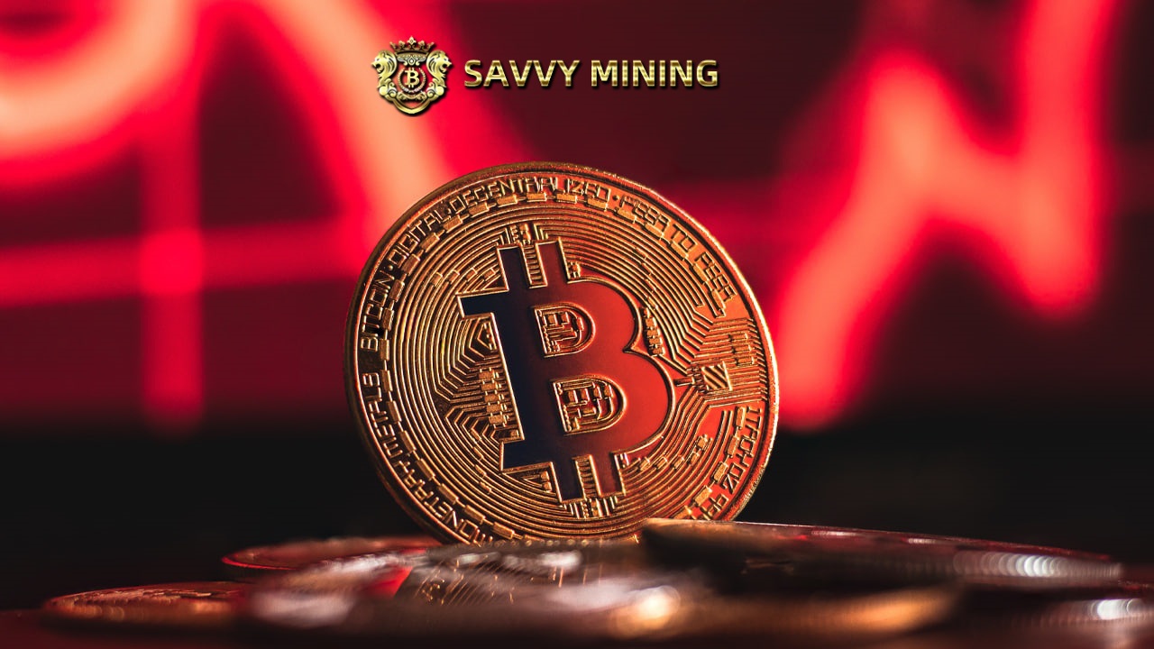 savvy mining