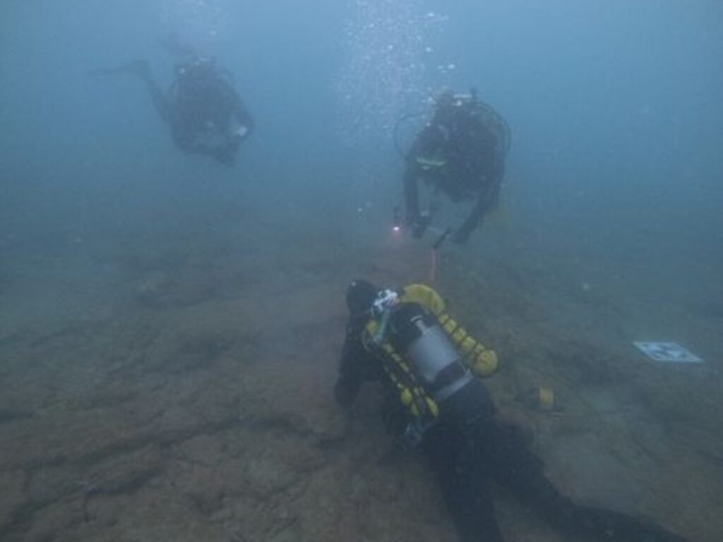 ripopolamento pinna nobilis