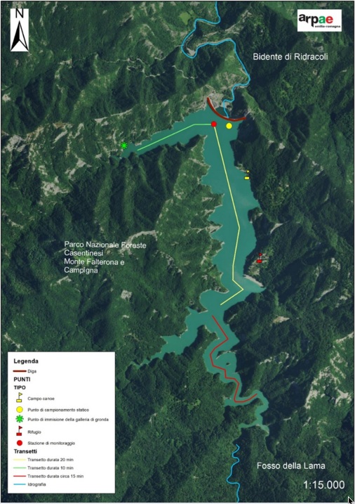 foreste microplastiche