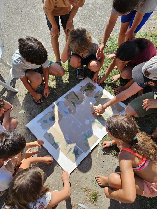 Campi estivi Oasi Lipu Massaciuccoli