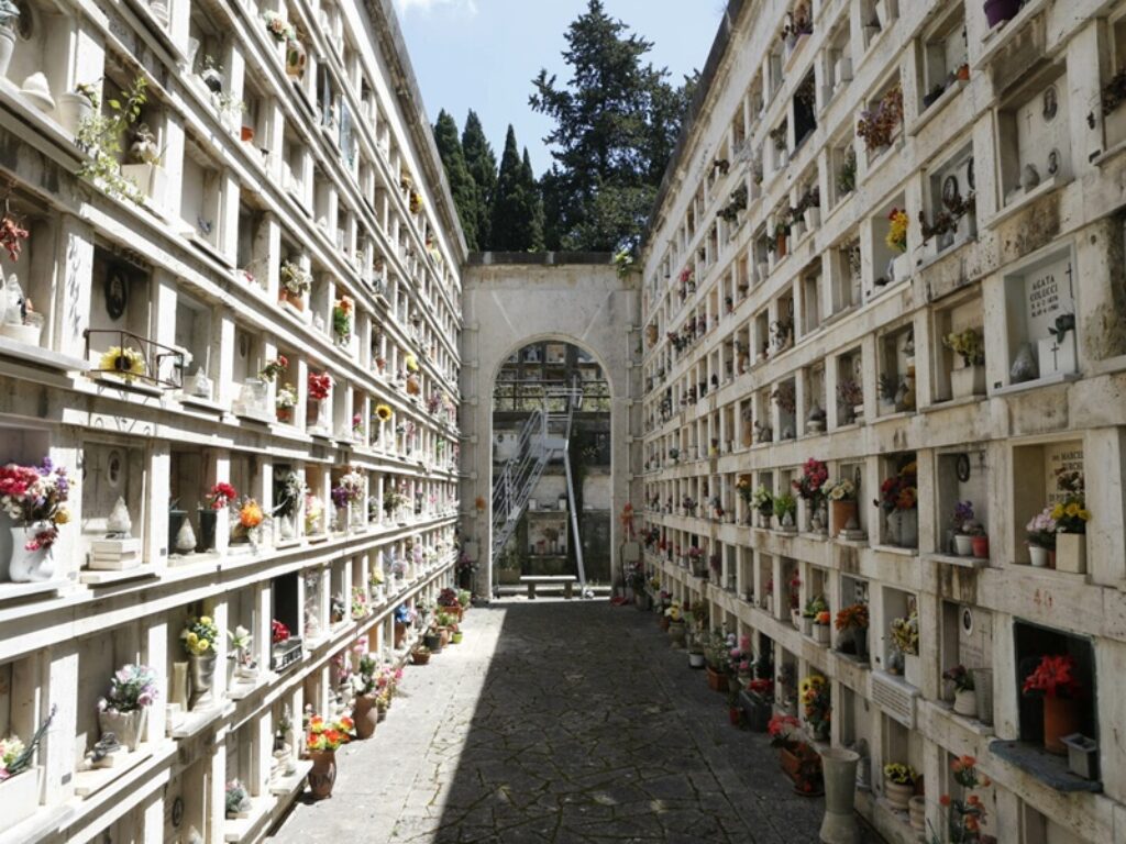 CIMITERO DEL VERANO