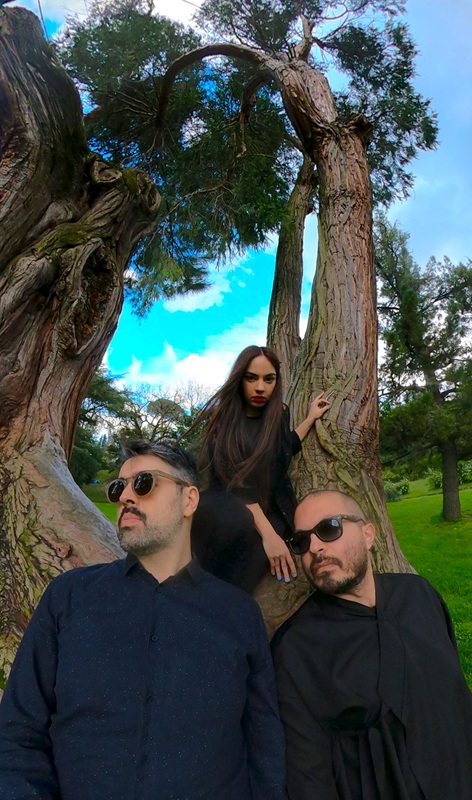 Sunset Music in the Park