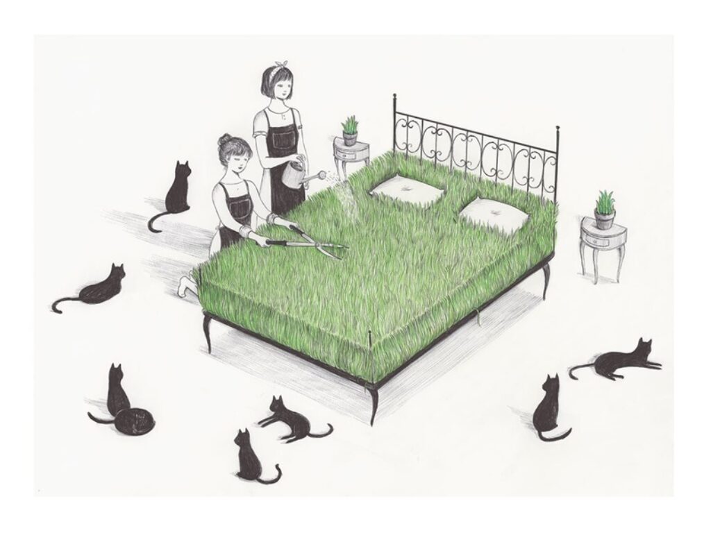 RIPIDO Illustration Festival