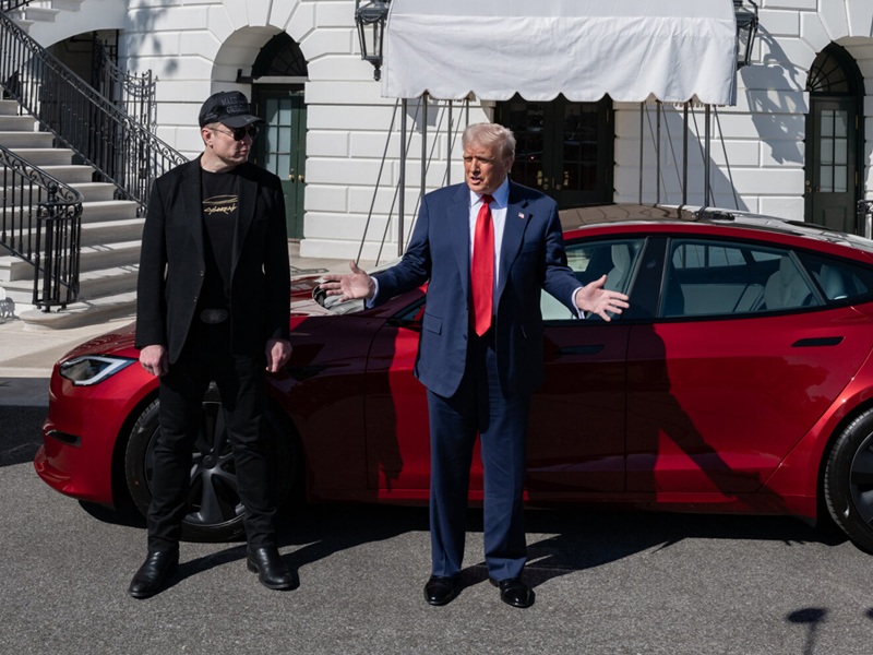 elon musk e donald trump