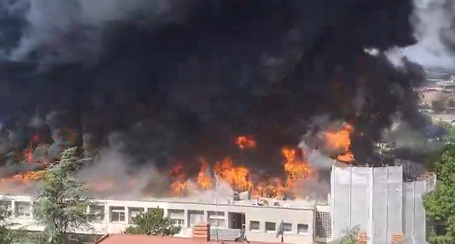 incendio università tuscia