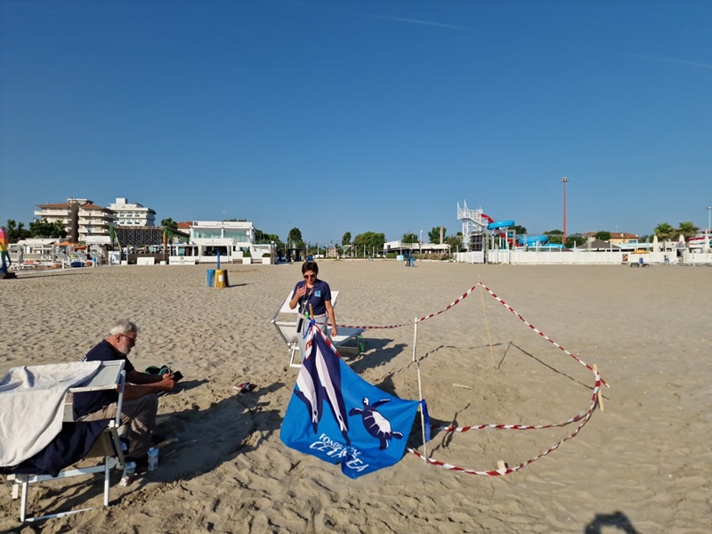 riccione volontari tartarughe