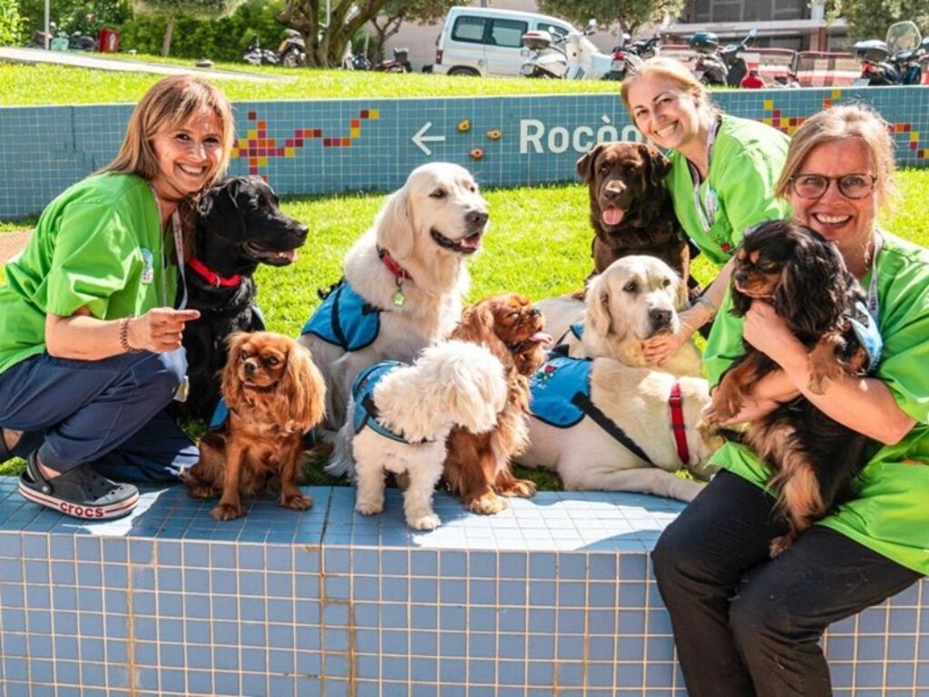 BetterwithPets Prize